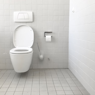 Profile Toilet